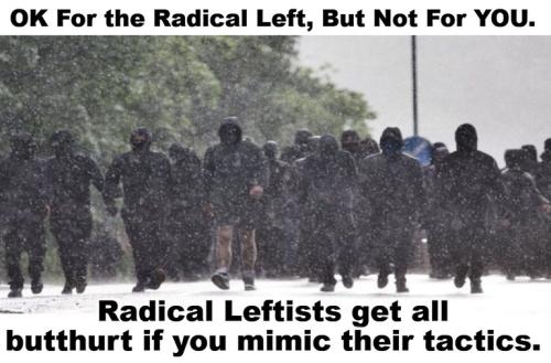 Radical Leftists get all butthurt if you mimic their tactics.768px