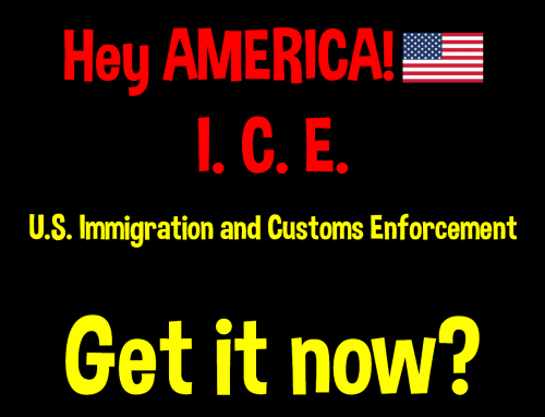 Immigration and Customs Enforcement