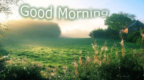 morning 5
