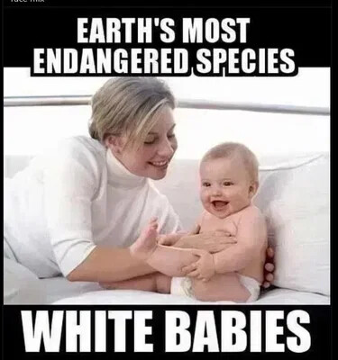 most-endangered-species