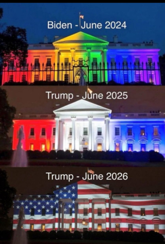 Trump lights