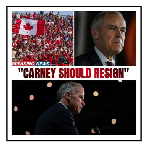carney should