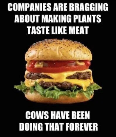 compamies-bragging-plants-taste-like-meat