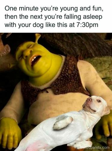 funny-memes-hoodwifionly-59-69cfb47af3cce__700