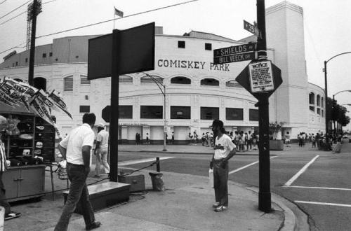 chicago 77