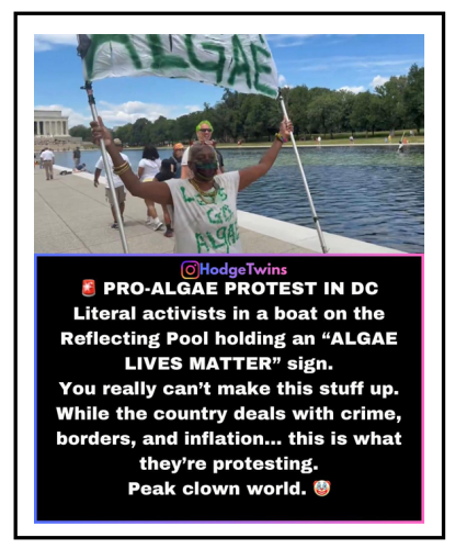 pro allgae protest