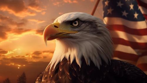 American-Eagle-with-sun-and-US-Flag