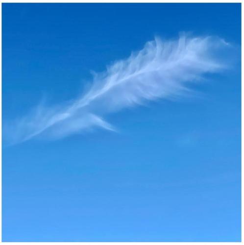 f543f6b9-20ca-44d0-a870-2221aefb385a