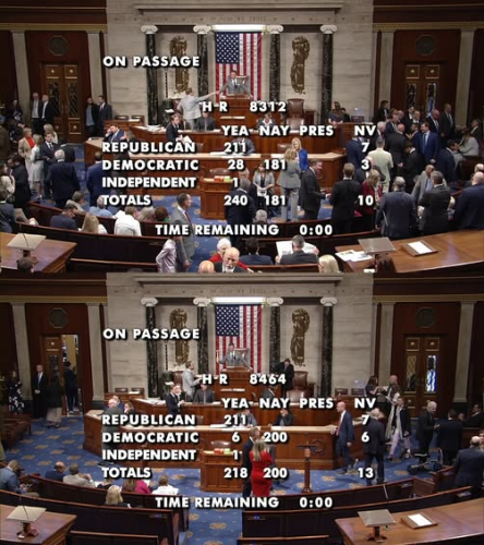 dem vote