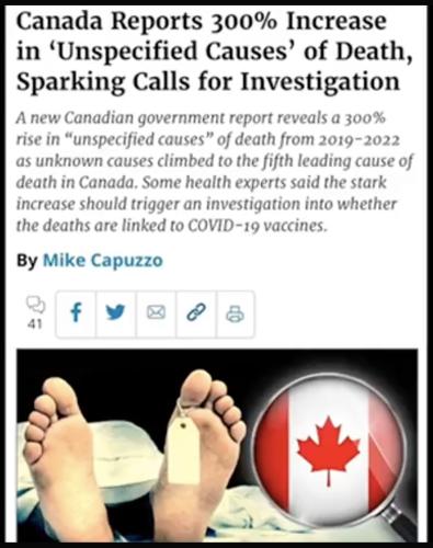 20260602_120823