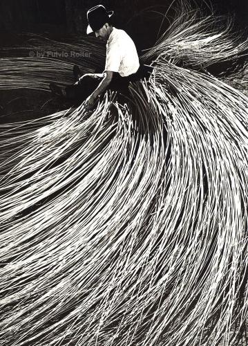 d00b2f10-87ce-4abd-8ac4-ee2fe39a45b1