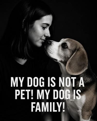 FB_IMG_1780775048531
