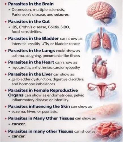Parasites in the Body