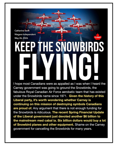 snowbirds
