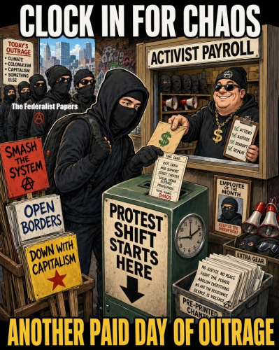 paid democrat protest