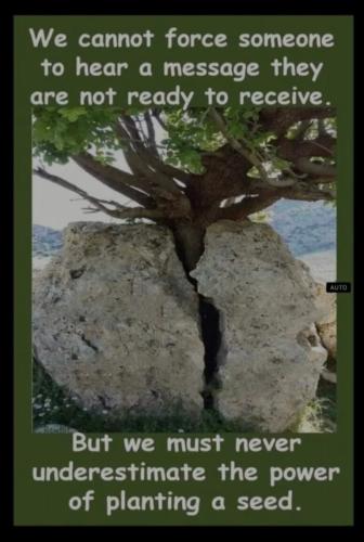 planting-a-seed