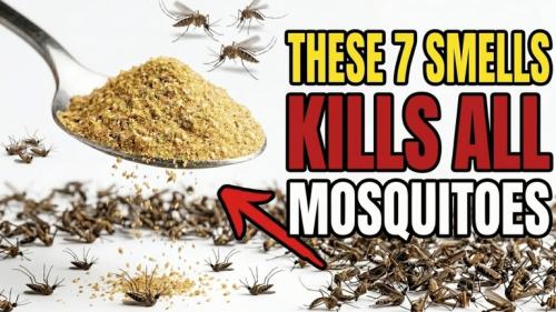 Bill Gates 7 smells mosquitos.768px