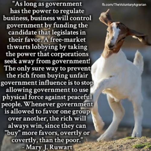 mary j ruwart govt reg business