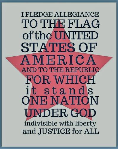 pledge 76