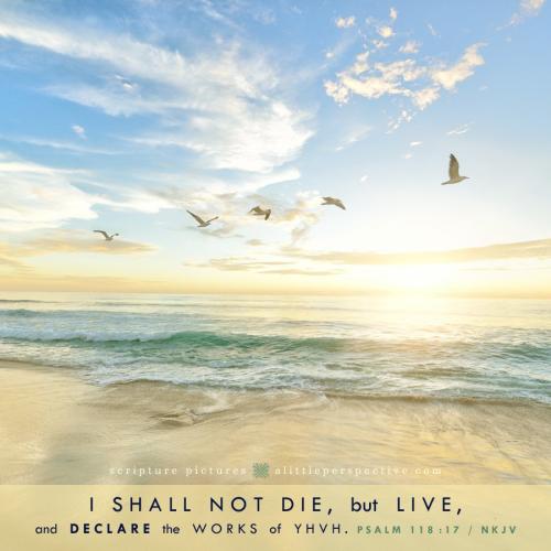 psa-118-17-NKJV-unsplash