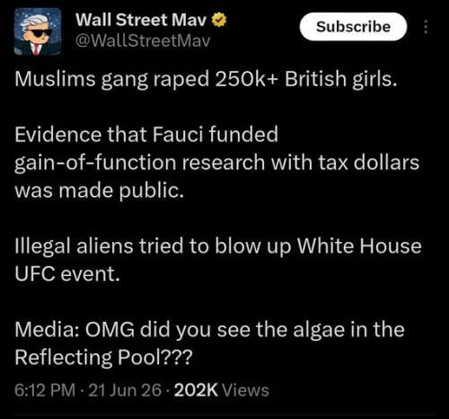 media-ignore-rape-ufc-attack-loud-about-algae