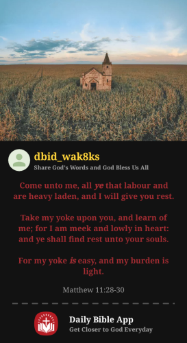 2026-06-201781999146048