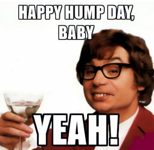 hump-day-memes-17-8-668e46a6624d7__700