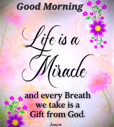 060826 - GM life is a miracle
