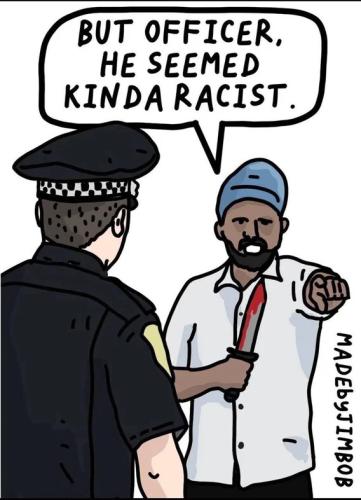 seemed-kinda-racist