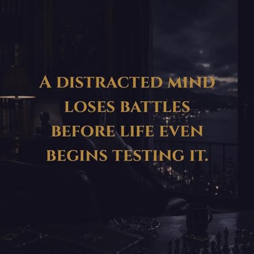 1780488134361