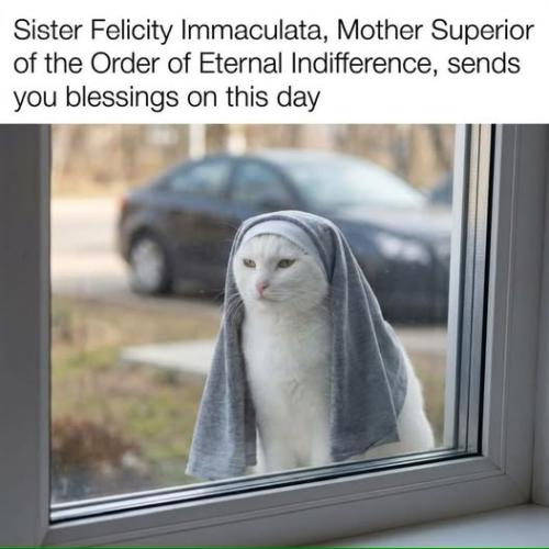 felicity