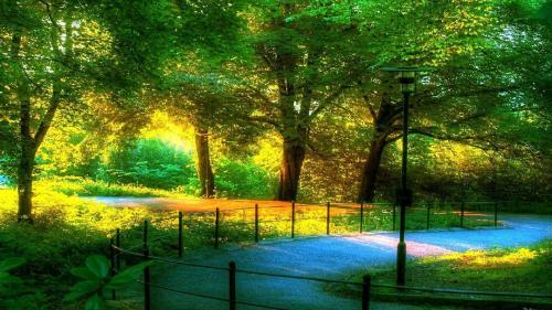 summer photos 05