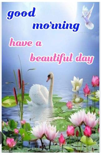 08:31:17 GMT-0400