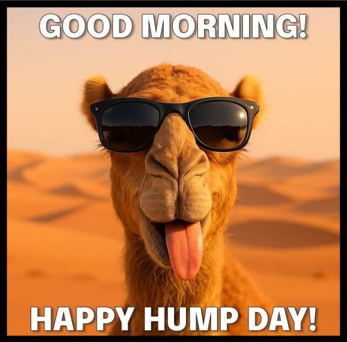 1-Hump Day