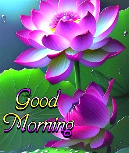 061426 - GM flower