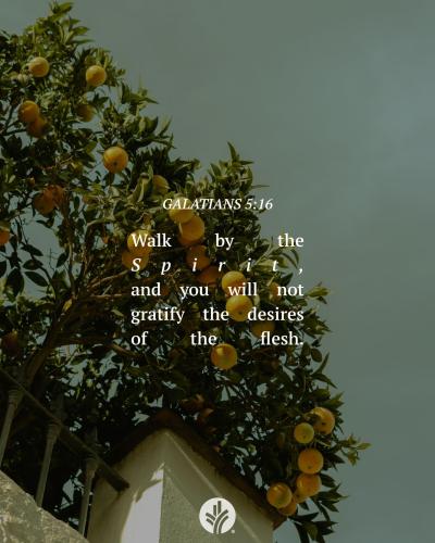 05:28:38 GMT-0700