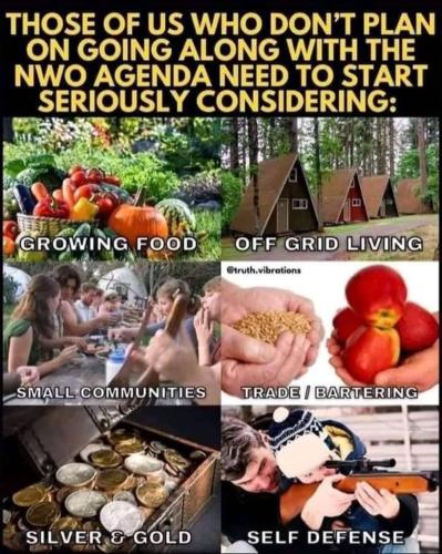 survival