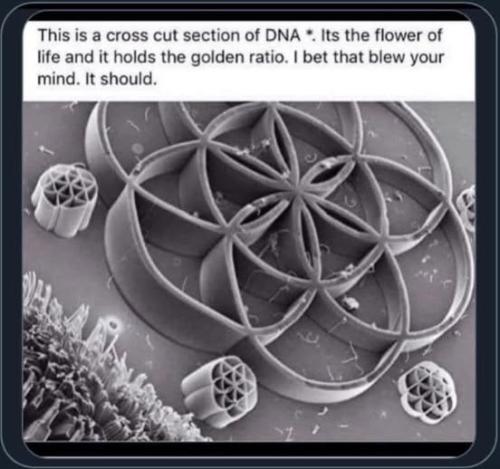 ,                             ,    ,