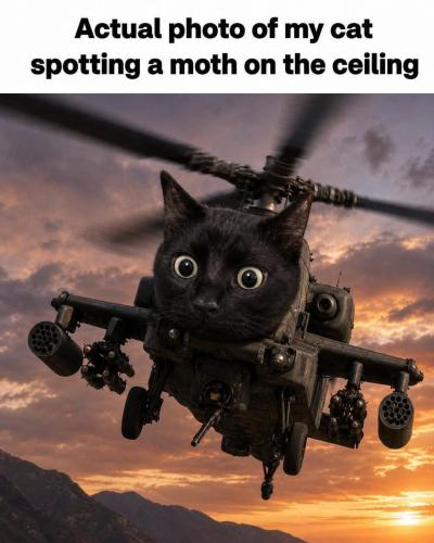 CDCSMG_1782744572523