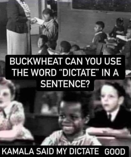 eb860e27-a0b0-41f0-b4e8-f4fe2a2107da