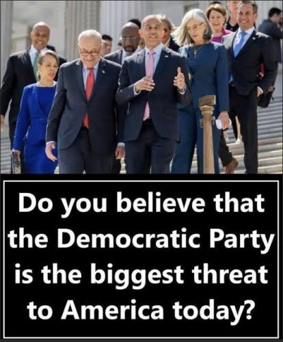 democrats863