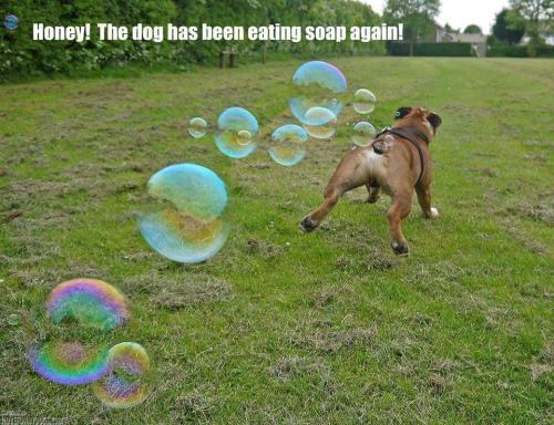 FB_IMG_1624311413008