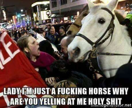 beat horse violent violence leftist hate animal cruelty pet dog desperate libtard yelling at a horse