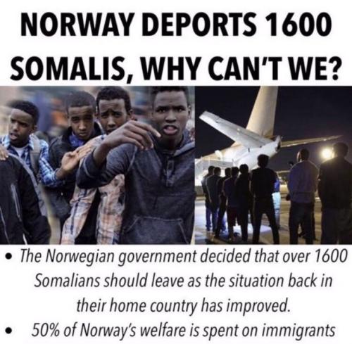 norway somalis