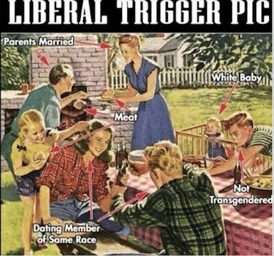 liberal-trigger-pic