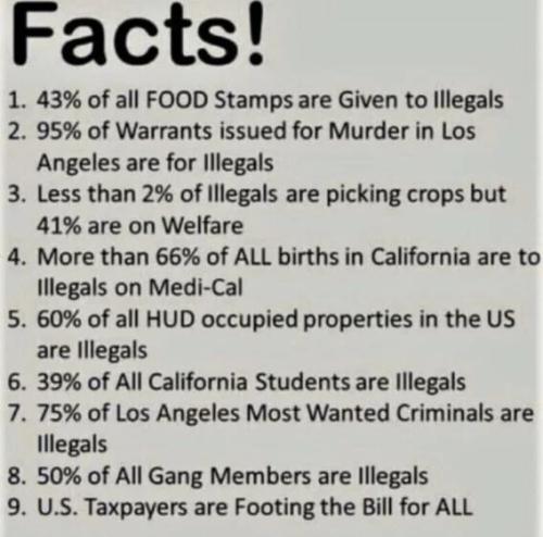 taxpayers-paying-for-illegal-crooks