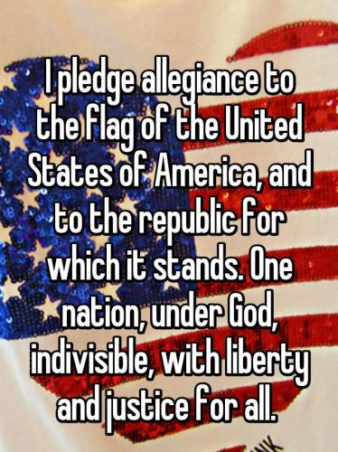 pledge 82