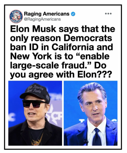 elon