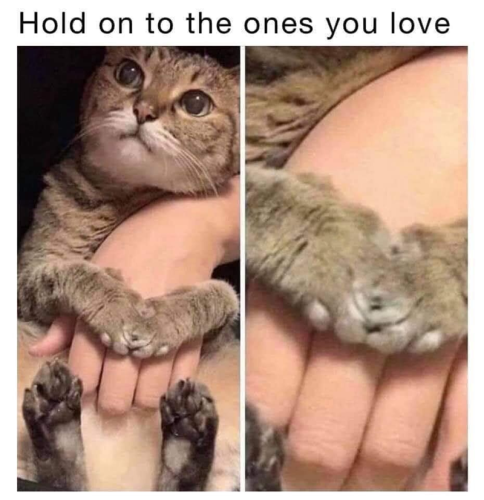 hold-on-ones-love