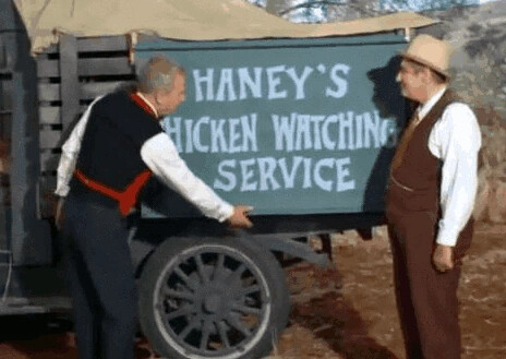 Haney's_Chicken_Watching_Service